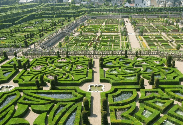 طراحی باغ فرانسوی